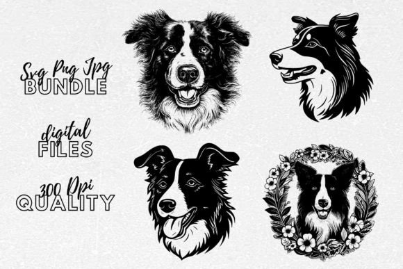 Border Collie SVG – Dog Breeds Clipart Review